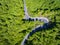 Forest curved road with trucks and cars on it. Aerial view from