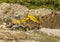 Forest digger Menzi Muck A91 in the river during earthworks.