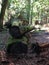 Forest, Dipsea Trail, Stinson Beach, San Francisco, CA