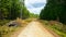 Forest dirt road in the Northern forest