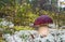 Forest edible mushroom in the moss