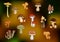 Forest edible mushrooms set on blurred background