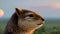 Forest Encounter: Closeup Illustration of a Capybara Amidst Nature\\\'s Serenity