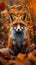 Forest encounter Red fox in the autumn woods, captivating scene