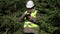 Forest engineer working with tablet PC near fir