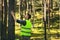 forest engineering and management, renewable resources - forester hecking quality of tree