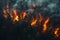 Forest Engulfed in Intense Wildfire, Generative AI