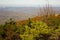 Forest in the fall. Picturesque mountain ranges in red and yellow colors.