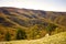 Forest in the fall. Picturesque mountain ranges in red and yellow colors.