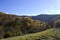 Forest in the fall. Picturesque mountain ranges in red and yellow colors.