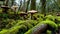 Forest Fallen Tree Covered with Moss and Mushrooms