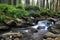 Forest falls and mossy rocks.