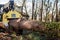 forest fellers equipped with a giant grapple for felling and transporting large trunks