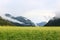 Forest and field in Achenkirch - Tyrol, Austria