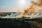 Forest and field fire with smoke aerial view, burning dry grass and trees, natural disaster