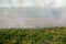 Forest fire in the Brazilian amazon