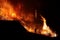 Forest Fire close to a house, Fireman Silhouette