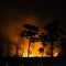 Forest fire with heat and smog pollution in forest at night