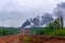 Forest fire. Illegal burn refuse, poisonous smoke, fire and fumes, clouds of toxic smoke. Smoke over forest and power plant. Air