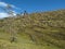 Forest after fire at Lake Baikal