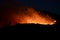 Forest Fire at night. Huge fire on mountain. View of trees and grass burning in forest fire. Wildfire fueled by strong winds force