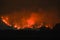 Forest Fire at Night.Wildfire burning forest trees in the mountain.Wildfire caused by humans