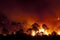 Forest fire, Pinus pinaster,Spain