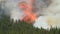 Forest fire with very large flames