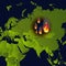 Forest fires banner, fire place on map, disaster in russian siberia news, paper that burns smokes and smolders from fire