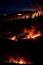 Forest fires in the night. AI generated