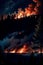 Forest fires in the night. AI generated