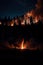 Forest fires in the night. AI generated