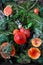 Forest fly agarics on green moss with fern and pine branches. Decorative composition made of amanita