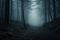 Forest in fog creating a mysterious atmosphere