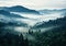Forest Foggy Valley Distance Stunning German Large Format Witche