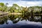 Forest and foot bridge reflecting over crystal clear still waters.