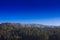 Forest with frost trees and clear blue sky