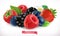 Forest fruits and berries. Raspberry, strawberry, blackberry and blueberry. 3d vector icon