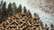 Forest Fusion: Wood Pellets Embrace the Enchanting Spruce Wilderness