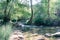 Forest in gallery crossed by stream in autumn Sierra Norte province of Seville Spain