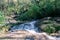 Forest in gallery crossed by stream in autumn Sierra Norte province of Seville Spain