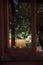 Forest, garden, elegance, cafe, window, lamp