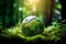 Forest Globe - Environmental Concept with Moss and Earth Globe