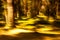 Forest in golden motion blur