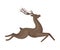 Forest Graceful Deer with Antlers in Running Pose Vector Illustration. Wildlife of Forest Mammals Concept