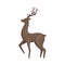 Forest Graceful Deer with Antlers in Standing Pose With His Leg Up Vector Illustration. Wildlife of Forest Mammals