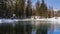 The forest grows on the snow-covered shore of an ice-free lake.