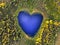 Forest heart shaped lake with sky reflection top aerial view