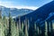 Forest and hiking trail in Joffre Lakes Provincial Park landscape.