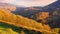 forest on the hill. mountainous rural landscape in autumn